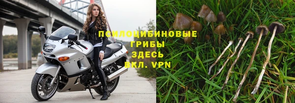 Альфа ПВП Нязепетровск