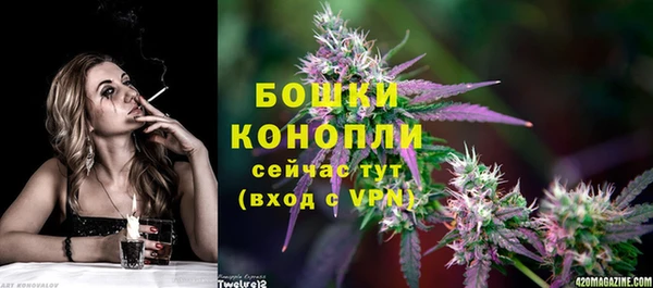 PSILOCYBIN Няндома